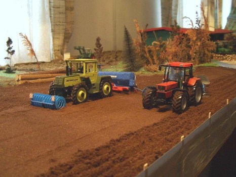 ../Images/CIMG1356 (Large).jpg